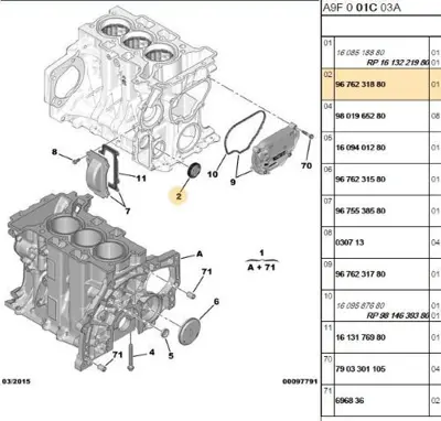 PSA 9676231880 Motor Blok Tapası 3639606 9676231880