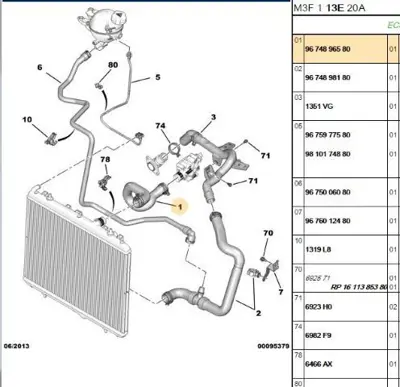 PSA 9674896580 Su Hortumu 9674896580