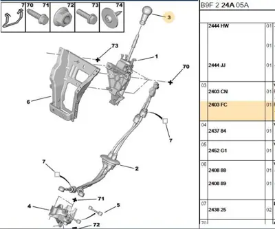 PSA 2403.FC Vıtestopuzu 2403FC