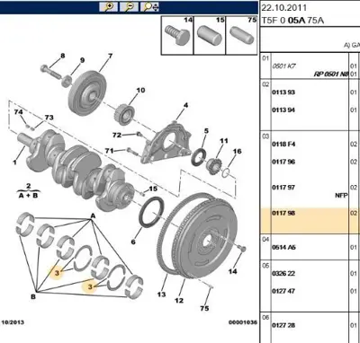 PSA 0117.98 Grank Kenar Ayı 0117.98