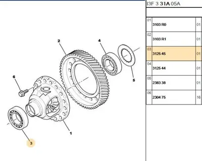 PSA 3125.45 Rulman 13265247 13402586 13402587 312238 312544 312545