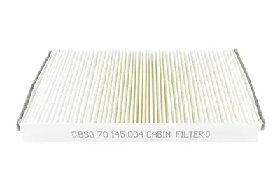 BSG 70-145-004 Polen Filitresi 6447YA 6447YC 6479C9 6447YAC 6447YCC 6479C9C 1613733080 6447YZ V22301008 1615646880