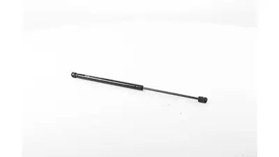 BSG 70-980-024 Bagaj Amortısörü 8731F9 8731F3 8731.F3 8731.F9 8731G9 8731.G9