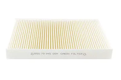 BSG 70-145-009 Polen Filitresi 647945 647946 9682603680 647945P 647946P 9682603680P 1616959080 1609999080 647846 96260380