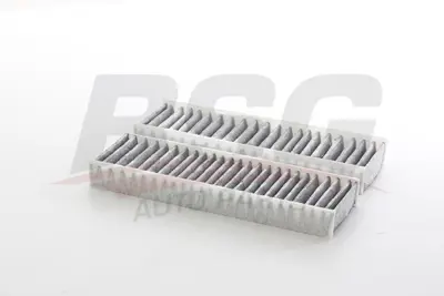 BSG 70-145-025 Polen Filitresi 9833351080 9833350880