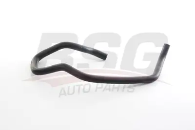 BSG 70-720-245 Radyatör Hortumu 1317P6