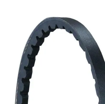 DAYCO 10A0665C Dıreksıyon Pompa Kayısı 037145271