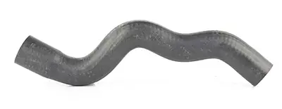 BSG 70-720-165 Radyatör Hortumu Alt 1343GR