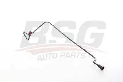 BSG 70-725-038 Yakıt Hortumu 1574GK
