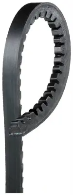 DAYCO 13A1180HD V Kayısı 074903138