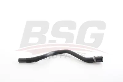 BSG 70-720-233 Kalorıfer Hortumu 6466F4 6466F7 6466FW