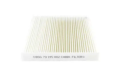 BSG 70-145-002 Polen Filitresi 6479A1 6447HP 9643147580 6447KR 663399D 6633990 6441EG 6441H7 6447AK 6447FG