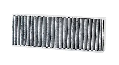 BSG 70-145-018 Polen Filitresi 9678792080 9678792080C 9814237680 1640604380