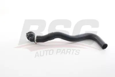 BSG 70-720-244 Radyatör Hortumu 1614086780