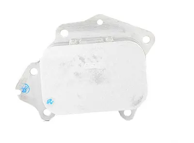 BSG 70-506-004 Yağ Sogutucu Radyatörü 1103L1 1103P0 1103K0 1103K2 1103N9 96879112 9687911280 1103S7 110436 1516998