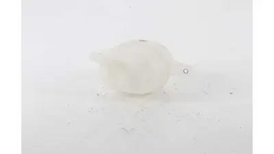 BSG 70-550-012 Radyatör Yedek Su Deposu 1323Z5 1323W2 132377 132372 132328 132322 132386 132327 1307VE 1307XT