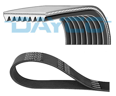 DAYCO 8PK1345HD V Kayısı 1066823 F0HT8620DA