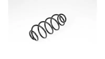 BSG 70-305-005 Helezon Yayı Ön Adet 5002JY 5002RR 5002RP 5002QR 5002KE 5002KF 5002RQ