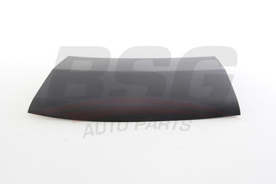 BSG 70-926-006 Çamurluk Kuşağı Ön Sağ 8544L9 1610461680