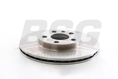 BSG 70-210-029 Fren Dıskı Ön 4246H8 4246H9 425453 425454 4346H9 E169008 E169013 1309392080 1316323080 1317651080