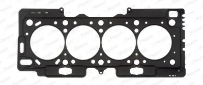PAYEN AE5010 Silindir Kapak Contası 0209Z0