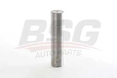 BSG 01-340-002 Tamır Seti, Aks Bası Pımı 0003301619