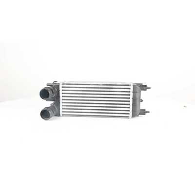 BSG 70-535-007 Turbo Radyatörü 0384.P5 70-535-007 70-535-007