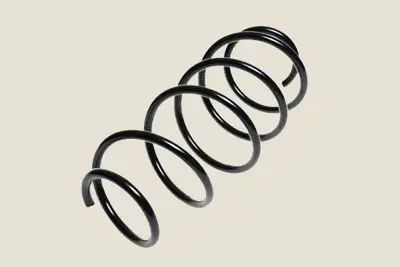 KYB RH3006 Helezon Yayı On C2 03>12 5002LY