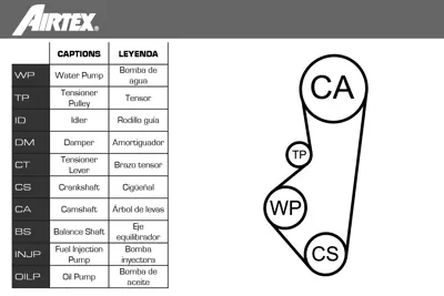 AIRTEX WPK-122902 Su Pompalı Triger Seti 1053055 1126041 5013320 5020651 6131141 6145028 6182891 6711044 6830821 84SM6K254CA 88SX8591A1B 88SX8591AA 91SM6268AA