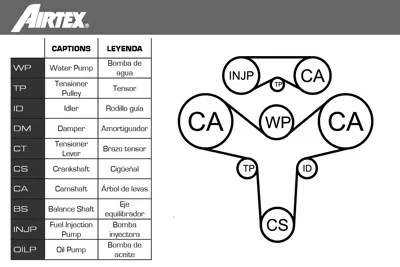 AIRTEX WPK-159601 Triger Seti Devirdaimlı (207x300) Passat 03>05 A4 00>04 A6 01>05 Super B 02>08 2,5tdı 59109119A 59109119B 59109243D 59109243F 59109243G 59109243J 59109243L 59109244 59109244A 59109244B 59109479B 59109487A 59109487B 59109487C 59121004B 59121004C 59121004CX 59121004D 59121004DX 59121004E 59121004EX 59130113 59130113A 59130113B 59198119 59198119A 59198119B 78103113E 78121113F N0147236 N10218708