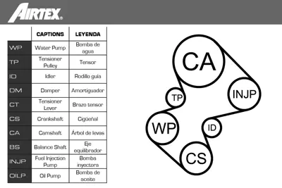 AIRTEX WPK-1580R01 Triger Set+su Pompası (Devirdaim) Partner Berlıngo Jumpy Iı Xsara Iı P206 P306 Scudo Iı Expert Dw8 - 1201C4 1281067G01 1282367G00 1282367G01 1609402380 1611897980 1741067G00 6923C0 81693 82959 82960 82961 82962 82963 83028 83029 83030 83031 83046 83063 83158 83159 831N2 831N3 831R7 93330862 9400816939 9400829598 9400829599 9400829629 9400830149 9400830289 9400830319 9400830379 9400830639 9400831589 9467538389 9467626380 9569147388 96223131 9622313180 96223
