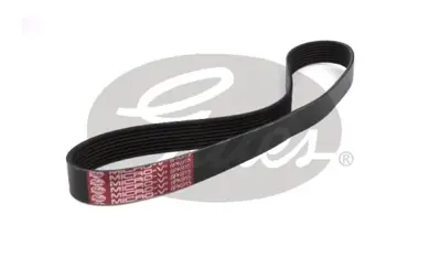 DAYCO 8PK915 V Kayısı 8PK915