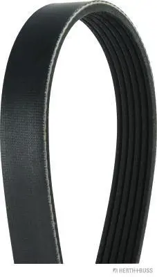 PSA 1633984880 Belt 1340279 1340280 1340281 1340282 1633984880 55565301 55565302 55565303 55565304 55580053 5750T6 5750YC 5750Z1 9633727280
