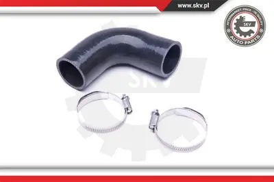 PSA 1617244680 Kıtraccordaır 1617244480 1617244680 7800537500