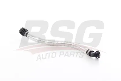 BSG 30-720-321 Havalandırma Hortumu CK3Q6A886AA