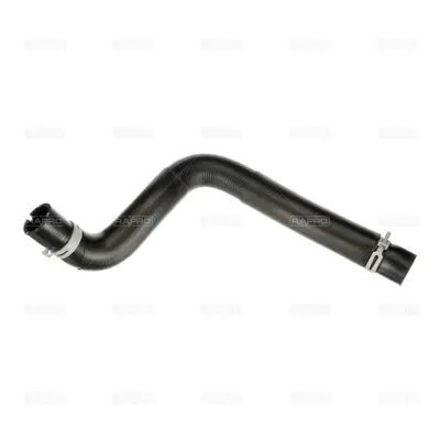 RAPRO R16624 Radyator Hortumu 1437095