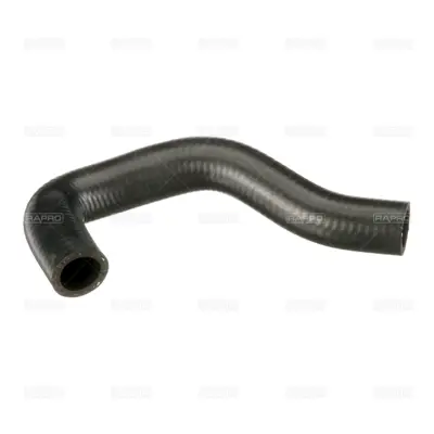 RAPRO R40082 Egr Hortumu 256712A150