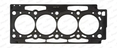 PAYEN AG9750 Silindir Kapak Contasi Peugeot 02090H