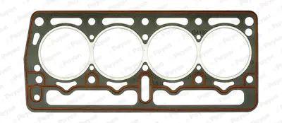 PAYEN AY430 Silindir Kapak Contasi Fiat 46402972 613556530 H5027610 613556510 3002897500 180140 46402972J AY430 613541520 1010681918