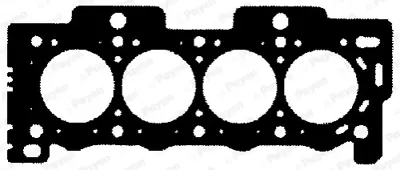 PAYEN BY130 Peugeot  Silindir Kapak Contasi 0209.A9