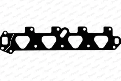 PAYEN JD5147 Opel  Monifolt Contasi 24407477 849513 849196 713429400 743790 703429400 3102920300 JD5147 X8661501 IM875