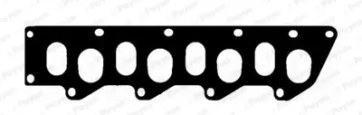 PAYEN JD5189 Renault  Monifolt Contasi 7700874592 30889404 X5209001 30750740 713441100 4026634381151 4402641 851070 4430356 93198496