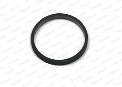 PAYEN JD5811 Vag  Monifolt Contasi 03E129717B
