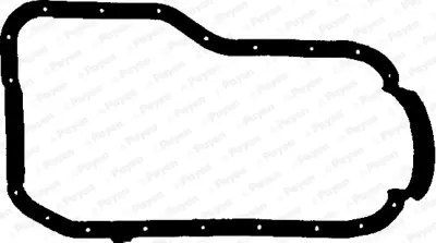 PAYEN JJ407 Renault  Karter Contasi 7700739392 1046803 713161900 145190 JJ407 14027700 411373200 4026634122723 54031 X5403101