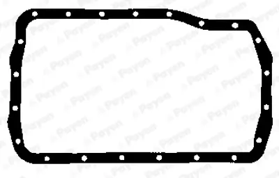 PAYEN JJ558 Renault  Karter Contasi 7700695943 OP3302 7701040547 JJ558 14035100 30424 7700591167 30420 408103720 711297200