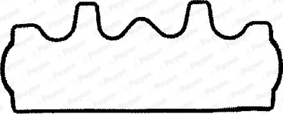 PAYEN JP041 Peugeot  Külbütör Kapak Contasi 24903