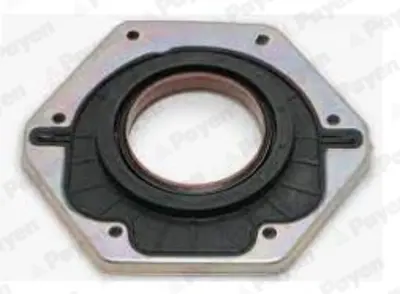 PAYEN NF885 Krank Keçesi Fiat 504086312 504059359 51487 69369 12016918 504086313 98461673 99442473 750521 12016918B
