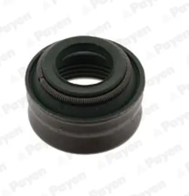 PAYEN PB180 Supap Lastiği Alfa Romeo 0605359490