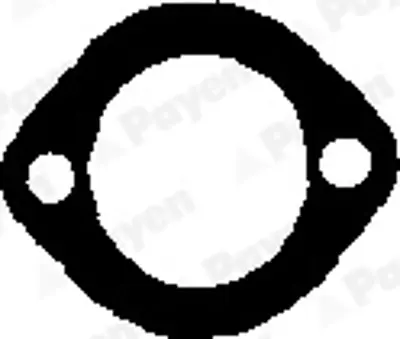 PAYEN JA752 Fiat-Pkw  Monifolt Contasi 717902800 46480910 437120 5891205 986984 13074600 MG9337 JA752 26601H