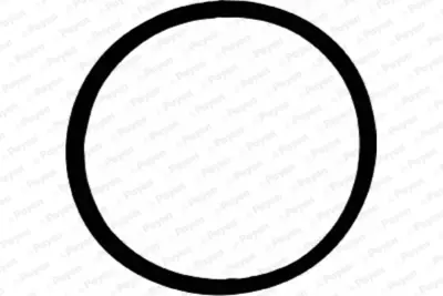 PAYEN JD5228 Vag  Monifolt Contasi 036129717E